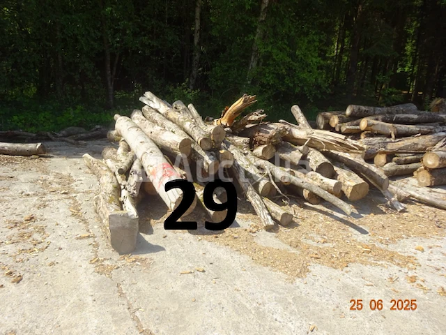 1 voorraad hout voor brandhout gelegen op de binnenplaats, over een lengte van +/- 50m inclusief een voorraad hout van alle soorten, diverse zaden waaronder een voorraad van +/- 25 bomen van 15m lang (alles voor informatiedoeleinden). ter plaatse te realiseren - afbeelding 12 van  14