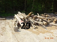 1 voorraad hout voor brandhout gelegen op de binnenplaats, over een lengte van +/- 50m inclusief een voorraad hout van alle soorten, diverse zaden waaronder een voorraad van +/- 25 bomen van 15m lang (alles voor informatiedoeleinden). ter plaatse te realiseren - afbeelding 12 van  14