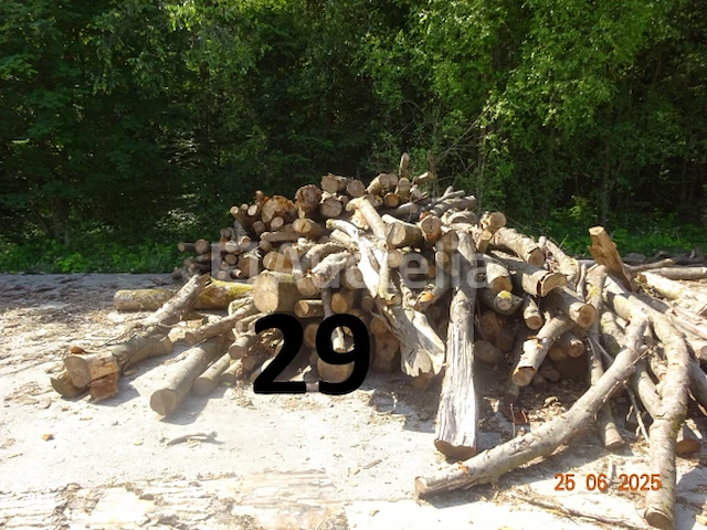 1 voorraad hout voor brandhout gelegen op de binnenplaats, over een lengte van +/- 50m inclusief een voorraad hout van alle soorten, diverse zaden waaronder een voorraad van +/- 25 bomen van 15m lang (alles voor informatiedoeleinden). ter plaatse te realiseren - afbeelding 13 van  14