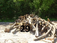 1 voorraad hout voor brandhout gelegen op de binnenplaats, over een lengte van +/- 50m inclusief een voorraad hout van alle soorten, diverse zaden waaronder een voorraad van +/- 25 bomen van 15m lang (alles voor informatiedoeleinden). ter plaatse te realiseren - afbeelding 13 van  14