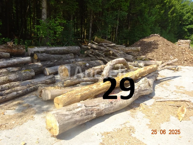 1 voorraad hout voor brandhout gelegen op de binnenplaats, over een lengte van +/- 50m inclusief een voorraad hout van alle soorten, diverse zaden waaronder een voorraad van +/- 25 bomen van 15m lang (alles voor informatiedoeleinden). ter plaatse te realiseren - afbeelding 14 van  14