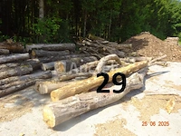 1 voorraad hout voor brandhout gelegen op de binnenplaats, over een lengte van +/- 50m inclusief een voorraad hout van alle soorten, diverse zaden waaronder een voorraad van +/- 25 bomen van 15m lang (alles voor informatiedoeleinden). ter plaatse te realiseren - afbeelding 14 van  14