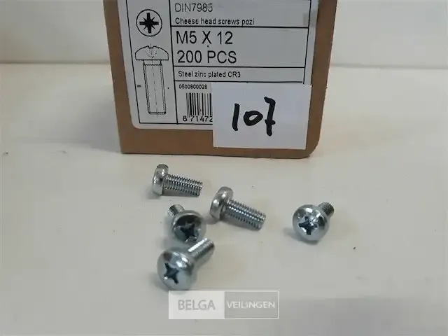 1 x 200 stuks metaalvijzen verzinkt met bolle kop kruis m5x12mm - afbeelding 3 van  3