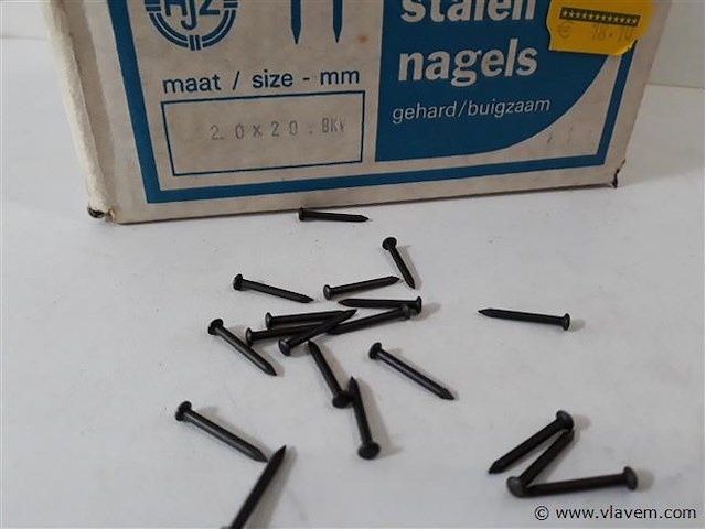 1 x 2,5 kg stalen nagels 2,0x20 mm - afbeelding 2 van  2