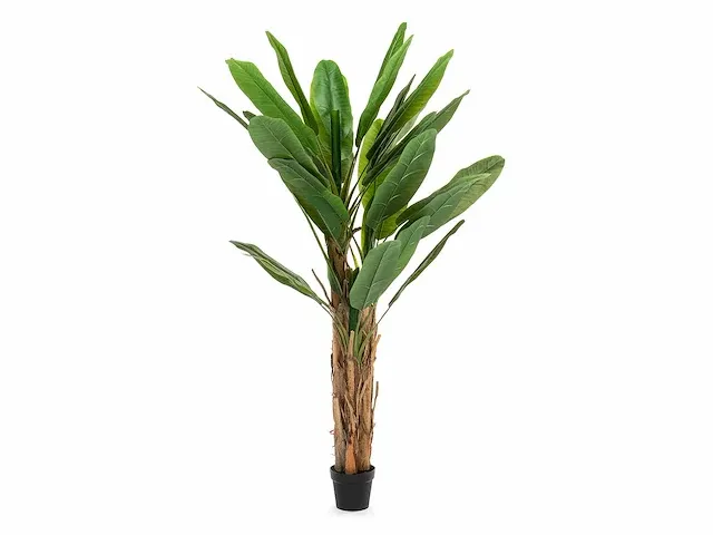 1 x bananenboom - kunstplant - 200 cm - afbeelding 1 van  6