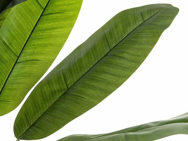1 x bananenboom - kunstplant - 200 cm - afbeelding 2 van  6
