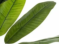 1 x bananenboom - kunstplant - 200 cm - afbeelding 2 van  6