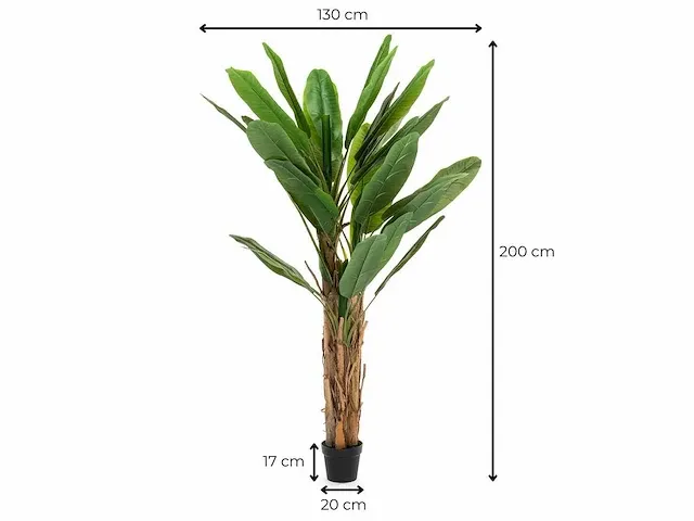 1 x bananenboom - kunstplant - 200 cm - afbeelding 5 van  6