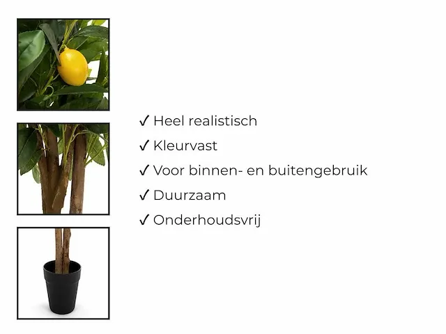1 x citroenboom - kunstplant - 150 cm - afbeelding 6 van  6