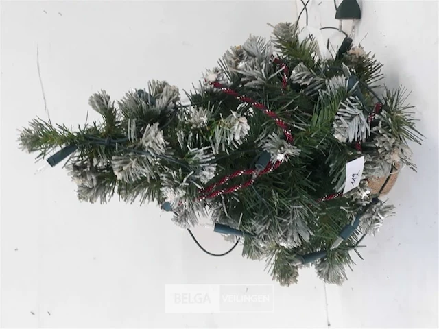 1 x kerstboom 40 cm met kluit + lampjes - afbeelding 3 van  3