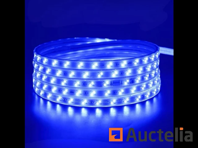 1 x led strip 25m - waterdicht (ip65) - warm wit/blauw - afbeelding 1 van  6