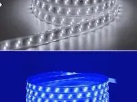 1 x led strip 25m - waterdicht (ip65) - wit/blauw - afbeelding 1 van  6