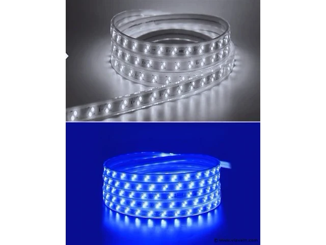 1 x led strip 25m – 10w/m – blauw & koud wit – ip65 waterdicht – smd 2835 - afbeelding 1 van  6