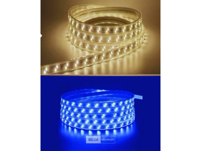 1 x led strip 25m – 10w/m – blauw & warm wit – ip65 waterdicht – smd 2835 - afbeelding 2 van  7