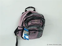1 x rugzak 10 l roze gelert - afbeelding 1 van  2