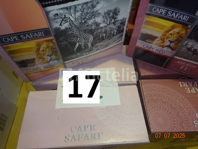 10 cape safari zuid-afrika blokjes van 3 liter waarvan 4 rosé en 6 rode - afbeelding 2 van  2