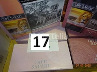 10 cape safari zuid-afrika blokjes van 3 liter waarvan 4 rosé en 6 rode - afbeelding 2 van  2