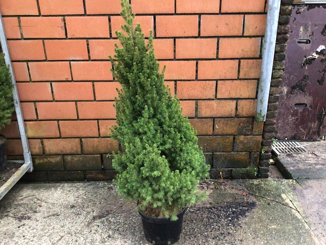 10 conica 80-100 - afbeelding 1 van  2