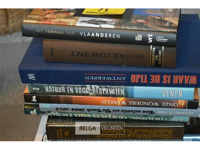 ±10 div boeken - afbeelding 2 van  3