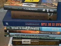 ±10 div boeken - afbeelding 2 van  3