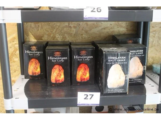 10 diverse zgn himalayan zout lampen - afbeelding 1 van  2