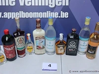 10 flessen sterke dranken - afbeelding 1 van  1