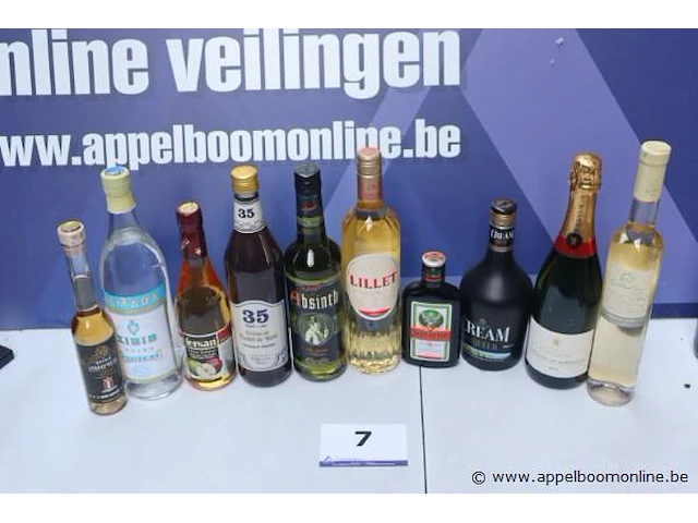 10 flessen sterke dranken - afbeelding 1 van  2