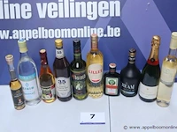 10 flessen sterke dranken - afbeelding 1 van  2