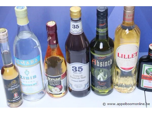 10 flessen sterke dranken - afbeelding 2 van  2