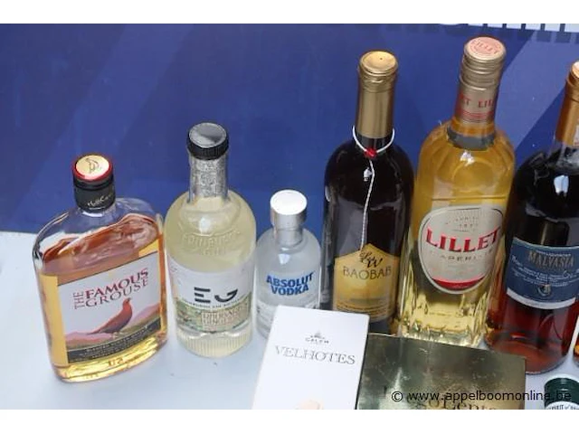 10 flessen sterke dranken - afbeelding 2 van  4