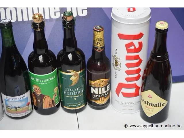 10 grote flessen diverse bieren - afbeelding 3 van  3