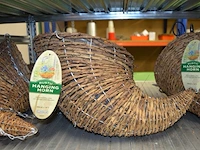 10 hangbloempot garman met 6 muurbeubels) - afbeelding 2 van  5