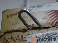 10 kg kokkels - afbeelding 2 van  3