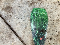 10 miscanthis sinensis strictis - afbeelding 2 van  2