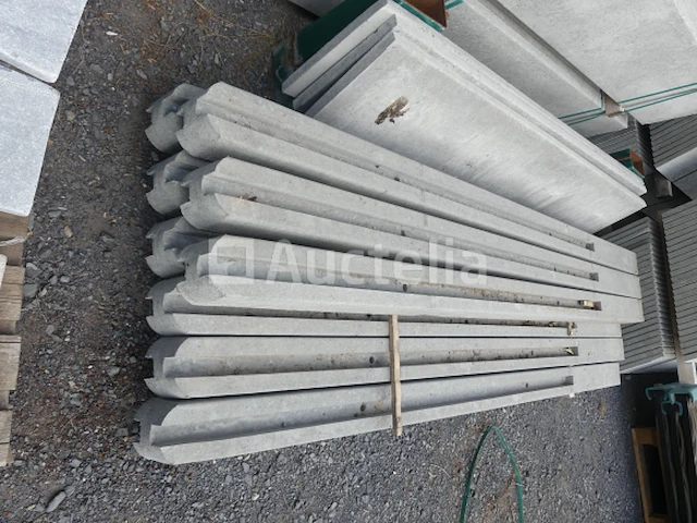 10 palen en 46 betonplaten - afbeelding 1 van  9