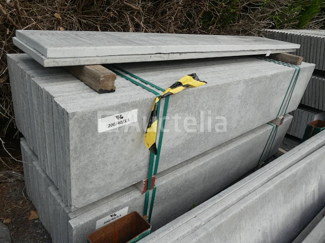 10 palen en 46 betonplaten - afbeelding 5 van  9