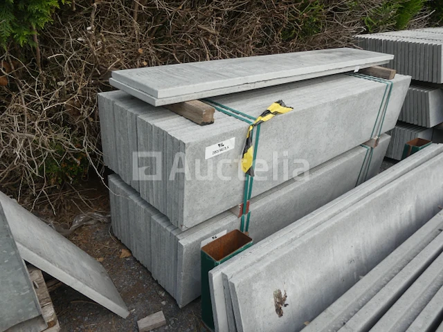 10 palen en 46 betonplaten - afbeelding 6 van  9