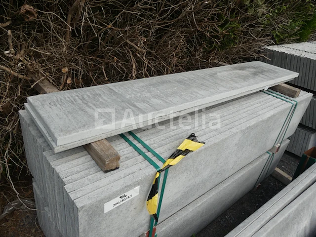 10 palen en 46 betonplaten - afbeelding 7 van  9