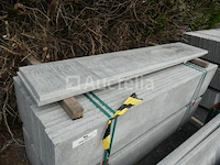 10 palen en 46 betonplaten - afbeelding 7 van  9