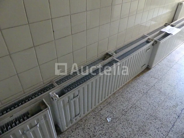 10 radson cv radiatoren - afbeelding 1 van  7
