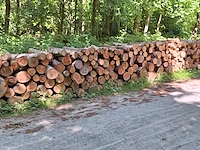 10 stère berk, wilg - afbeelding 1 van  1