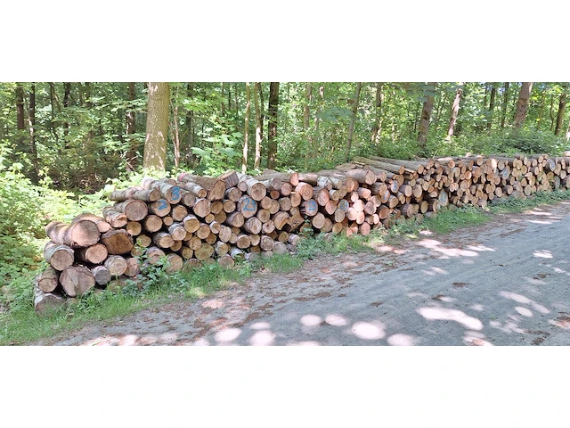 10 stère berk, wilg - afbeelding 1 van  1