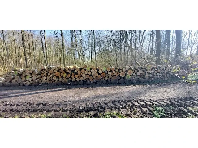 10 stère eik + berk + wilg - afbeelding 1 van  2