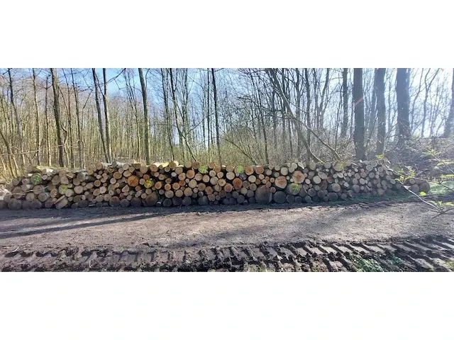 10 stère eik + berk + wilg - afbeelding 2 van  2