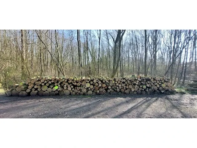10 stère eik + berk - afbeelding 1 van  1