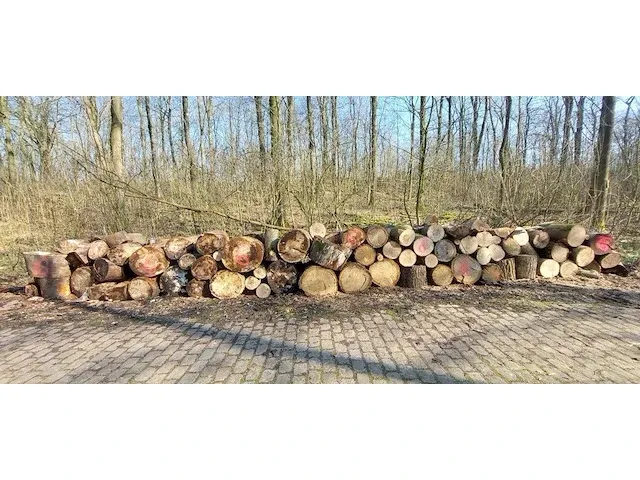 10 stère hard-hout - afbeelding 1 van  1