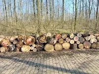 10 stère hard-hout