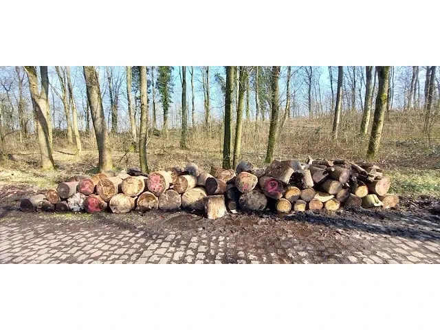10 stère hardhout - afbeelding 1 van  1