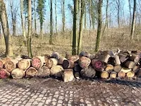 10 stère hardhout