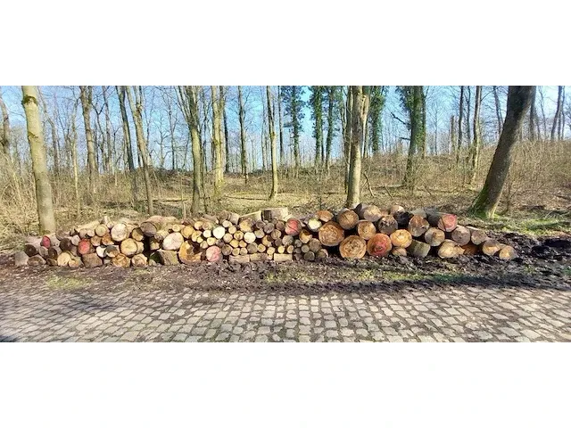10 stère hardhout - afbeelding 1 van  1